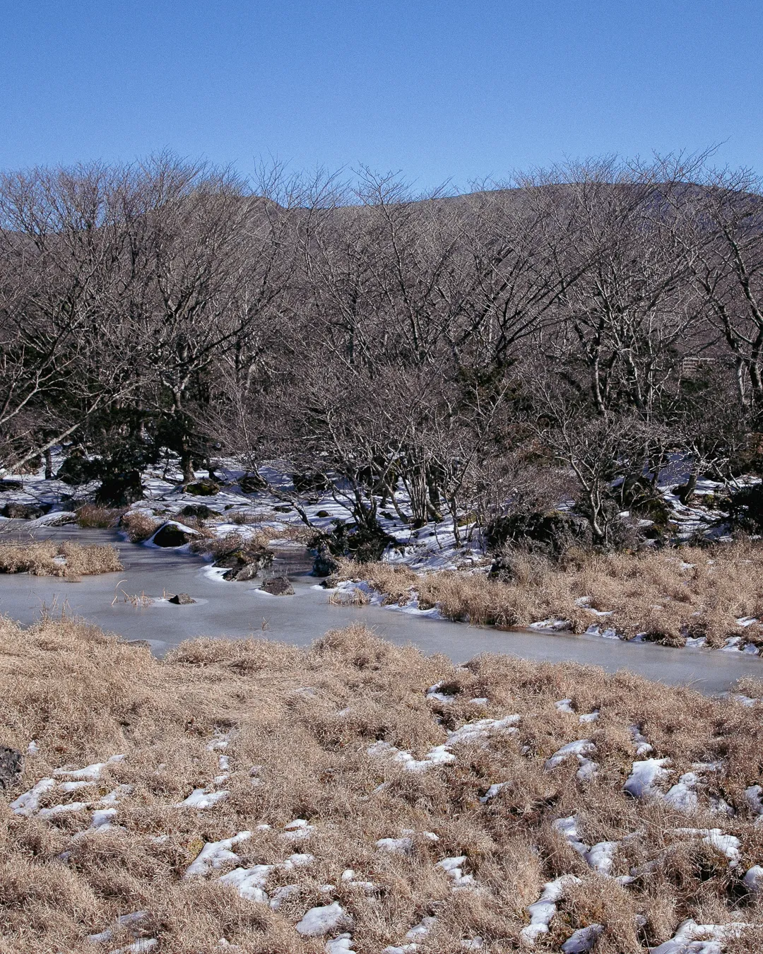 Winter Runs Over Days Image 3