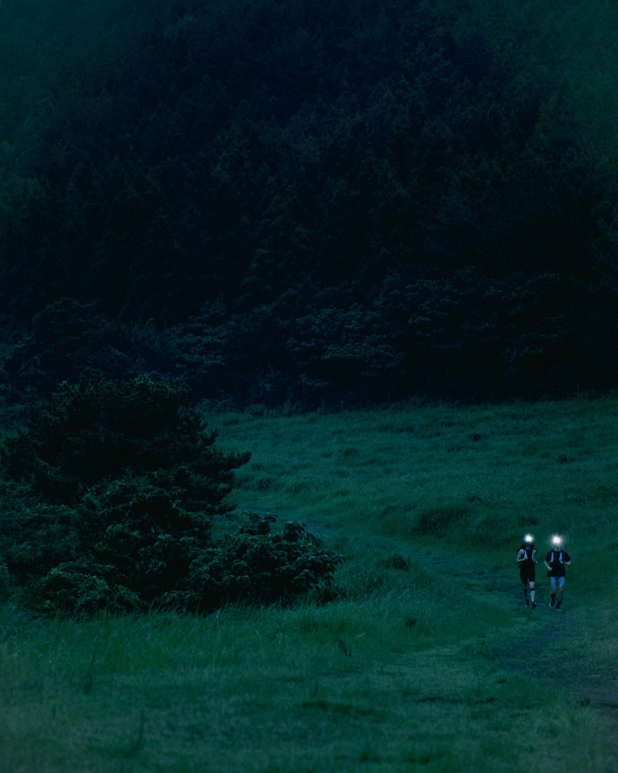 24 Beacon Light Potential 11