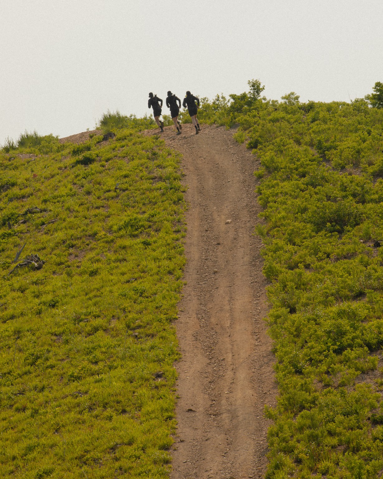 25 Falcon Attitude Altitude 22