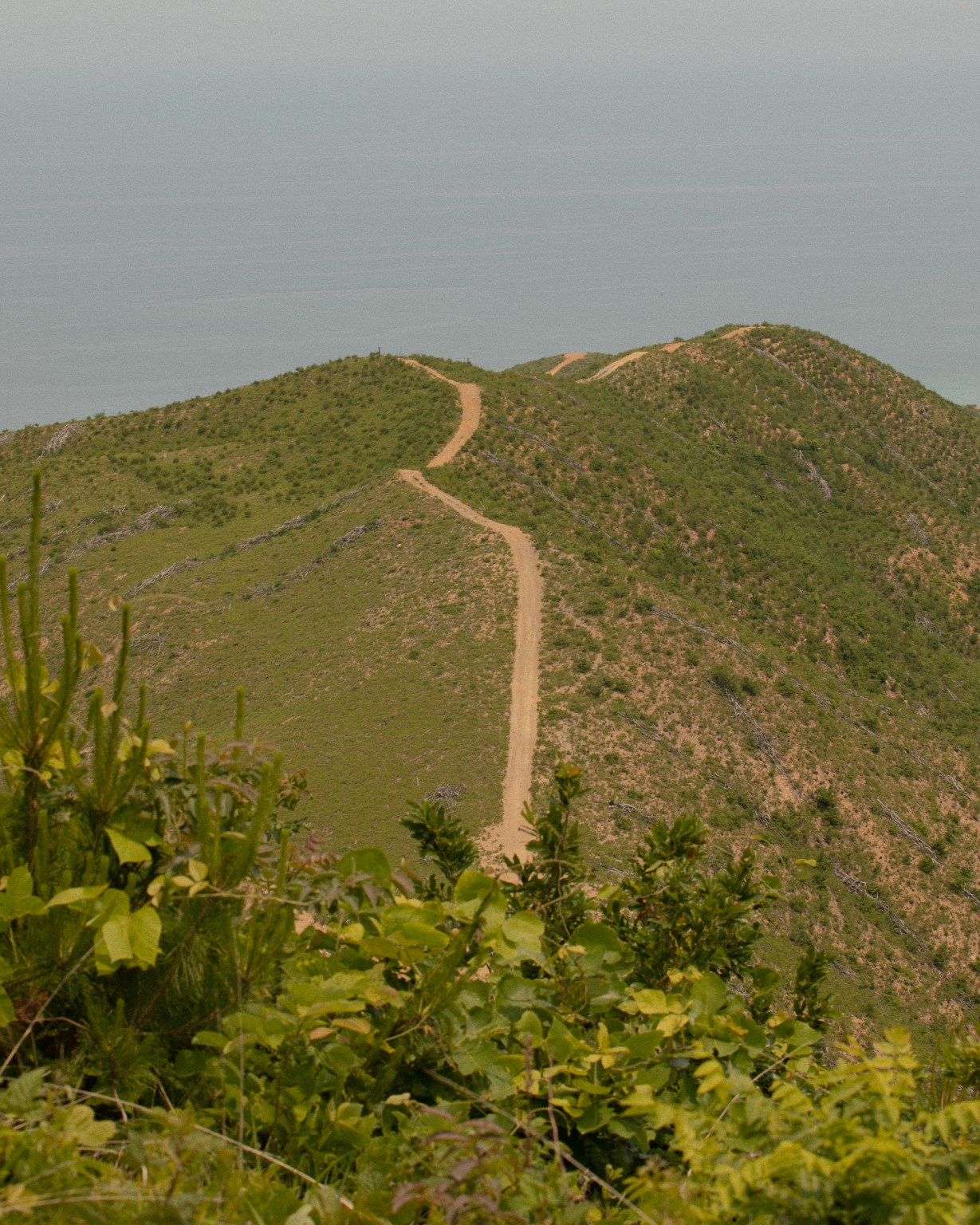 25 Falcon Attitude Altitude 6